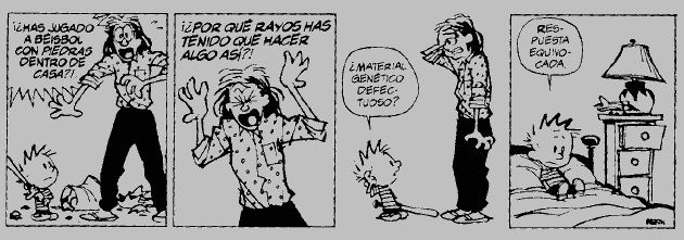 Calvin 32.jpg